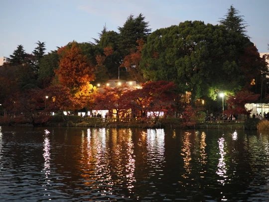 Inokashira Park
