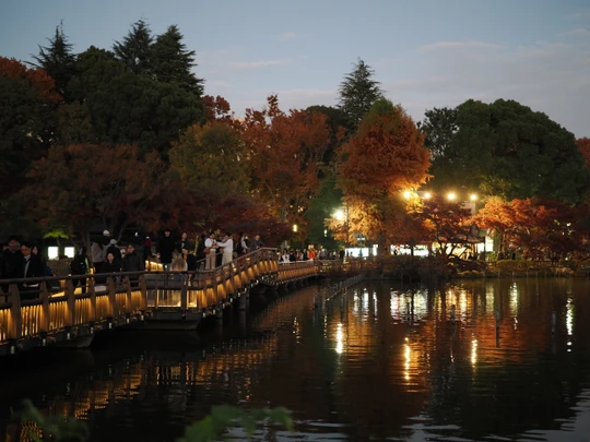 Inokashira Park