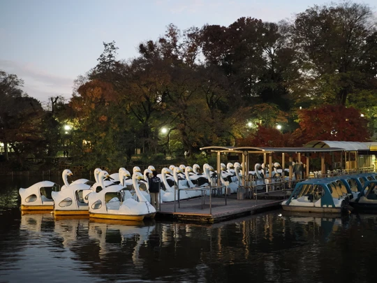 Inokashira Park