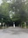 Ise-Jingu (Geku)