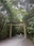 Ise-Jingu (Geku)