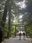 Ise Jingu (Naiku)