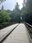 Ise Jingu (Naiku)