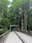 Ise Jingu (Naiku)