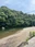Isuzu River
