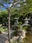 Izanagi Shrine