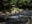 Joren Falls