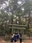 Kashima Jingu Shrine