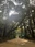 Kashima Jingu Shrine