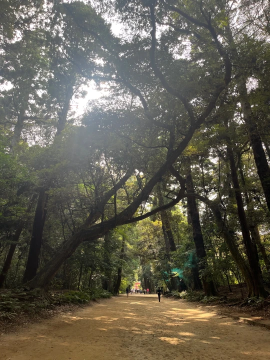 Kashima Jingu Shrine