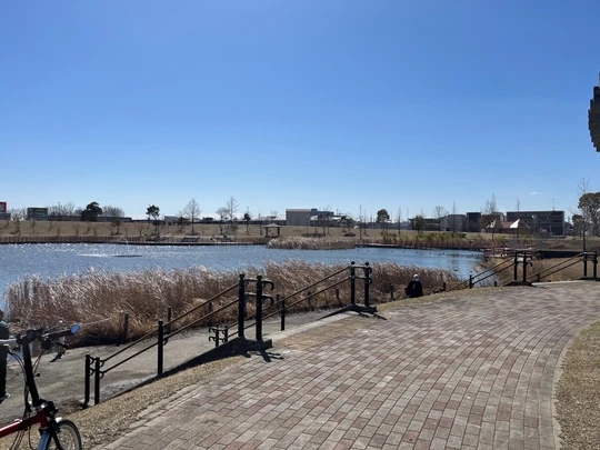 Kazusasarashina Park