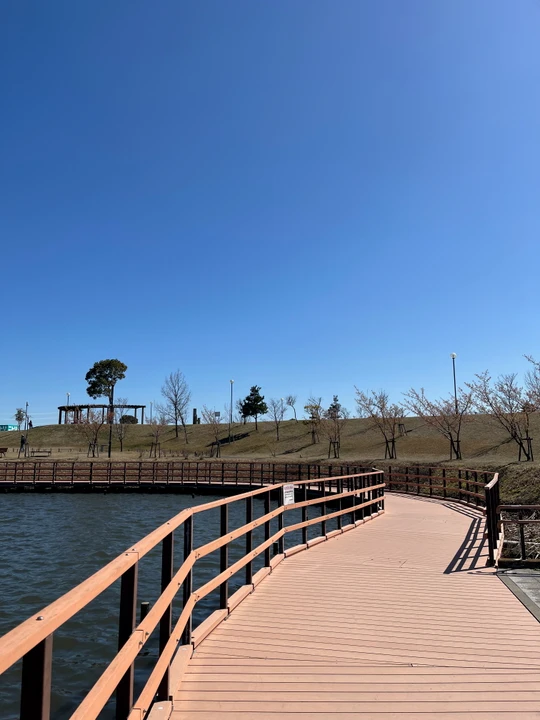 Kazusasarashina Park