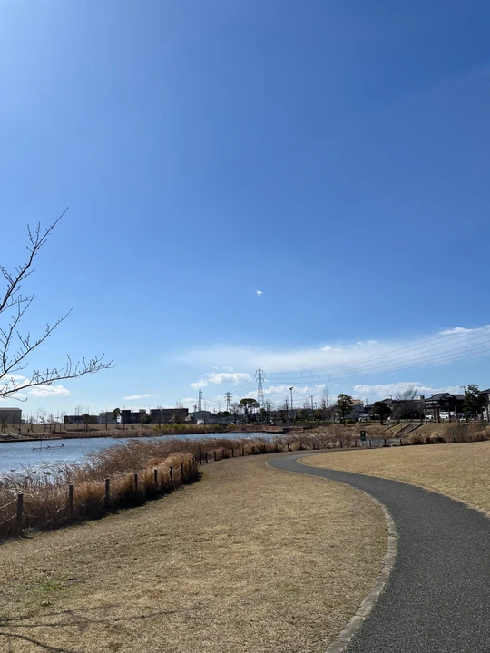 Kazusasarashina Park