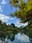 Kenroku-en Garden