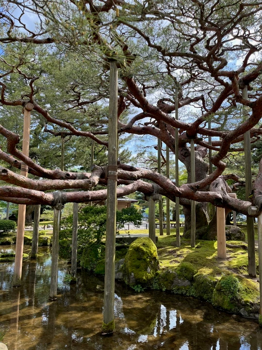Kenroku-en Garden