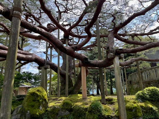 Kenroku-en Garden