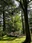 Kenroku-en Garden