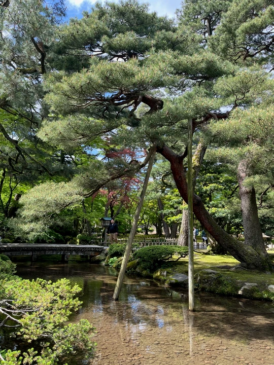 Kenroku-en Garden