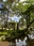Kenroku-en Garden