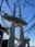 Kimisarazu Tower
