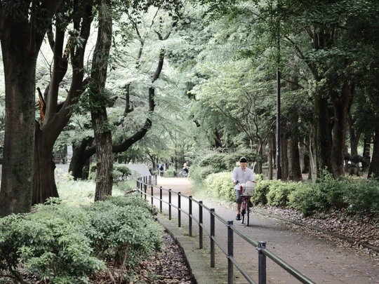 Kinuta Park