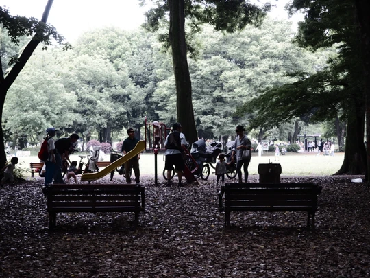 Kinuta Park