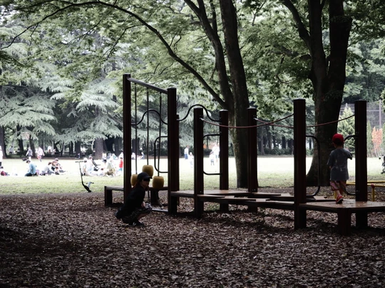 Kinuta Park