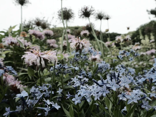 Kinuta Park
