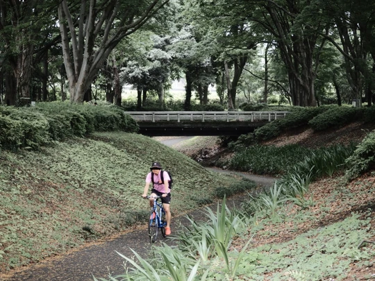 Kinuta Park