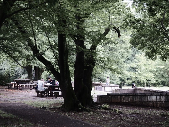 Kinuta Park