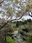 Kishin-en Garden