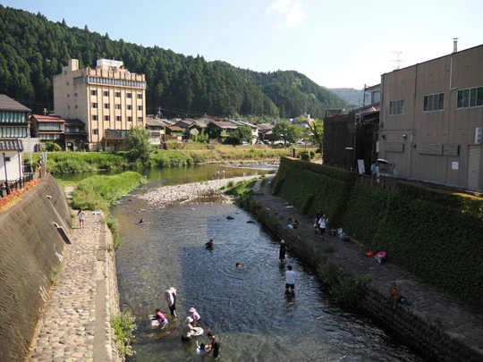 Kodara River