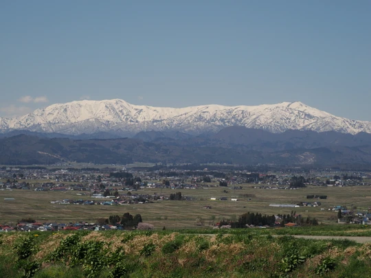 Koibito zaka