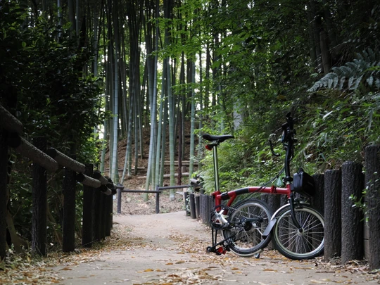 Kozukue Castle Remains