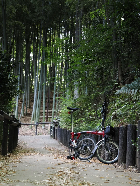 Kozukue Castle Remains