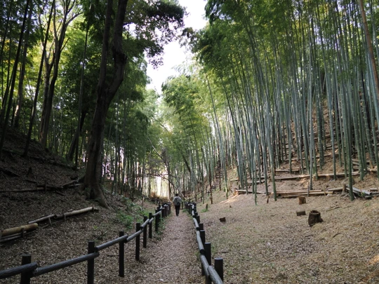 Kozukue Castle Remains