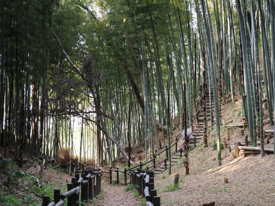 Kozukue Castle Remains