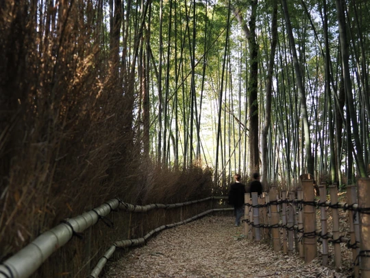 Kozukue Castle Remains