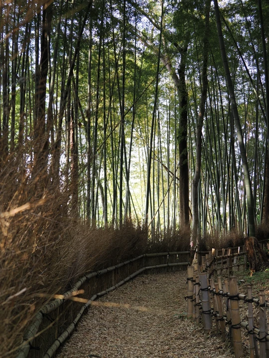 Kozukue Castle Remains