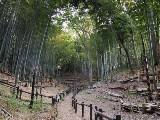 Kozukue Castle Remains