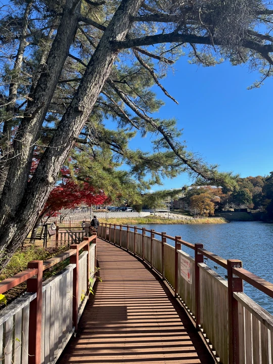 Kuragaike Park