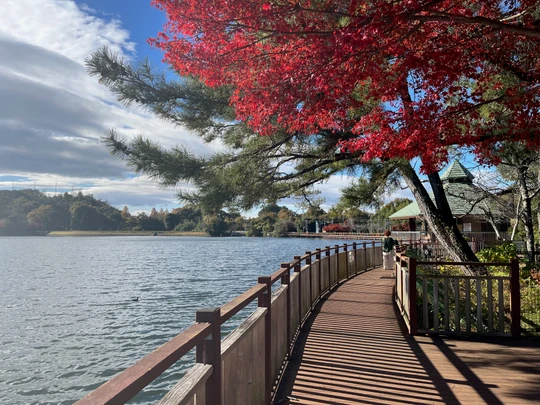 Kuragaike Park