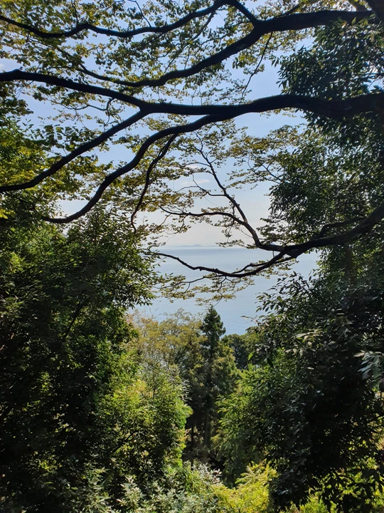 Lake Biwa North