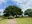 Lake Inbanuma Park