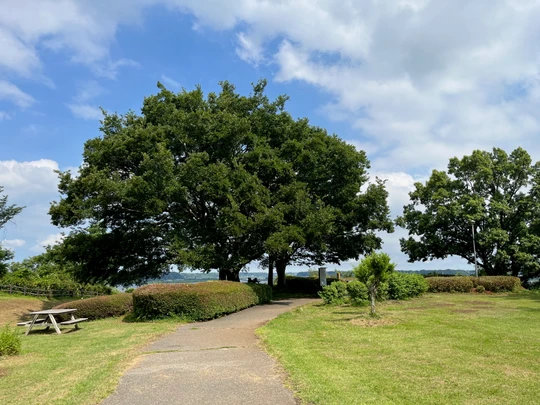 Lake Inbanuma Park