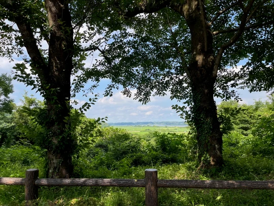 Lake Inbanuma Park