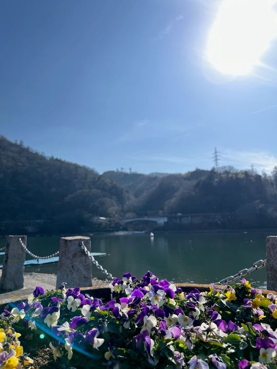Lake Sagami
