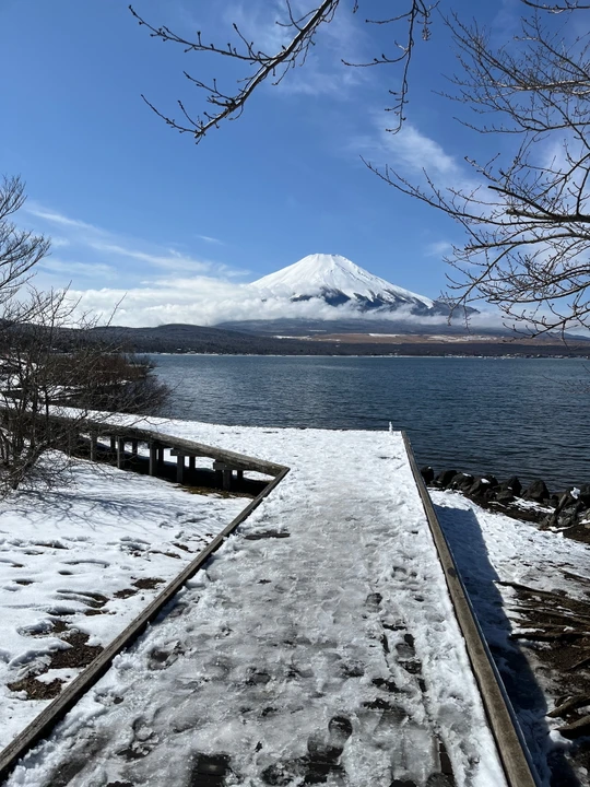 Lakeside Boardwalk