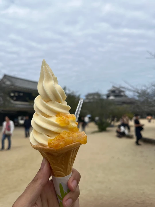 Matsuyama Castle