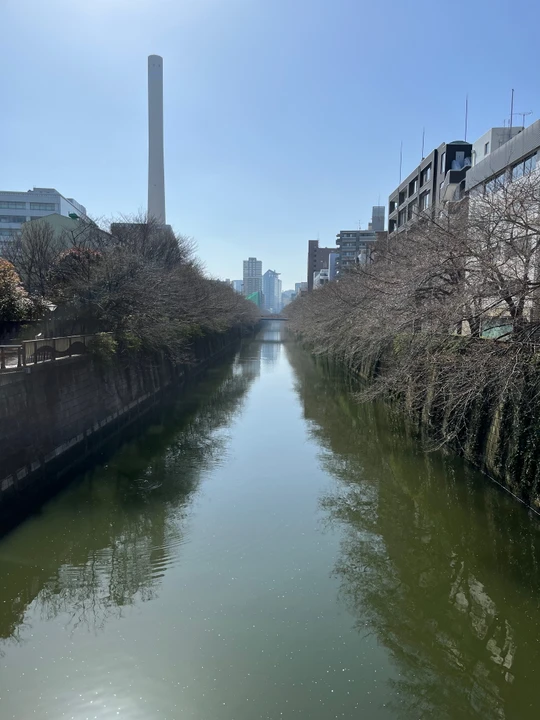 Meguro River